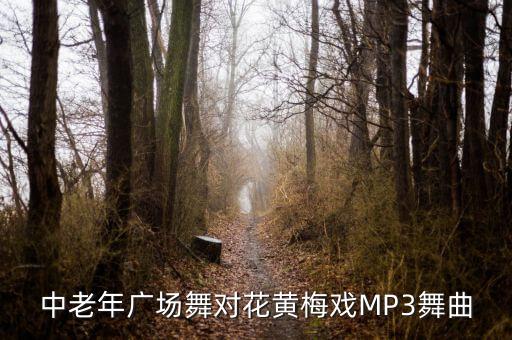 中老年广场舞对花黄梅戏MP3舞曲