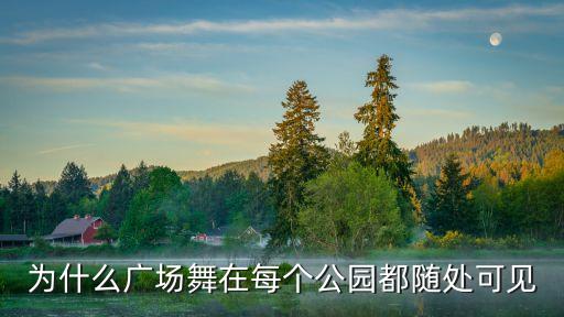 为什么广场舞在每个公园都随处可见