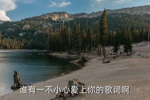 谁有一不小心爱上你的歌词啊