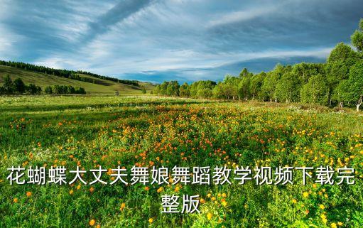 花蝴蝶大丈夫舞娘舞蹈教学视频下载完整版