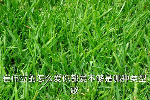 崔伟立的怎么爱你都爱不够是哪种类型歌