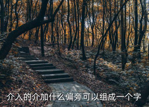 介入的介加什么偏旁可以组成一个字
