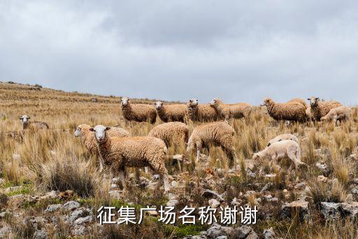 广场起什么名字大全集，比较现代化功能齐全的商业广场叫什么名字好