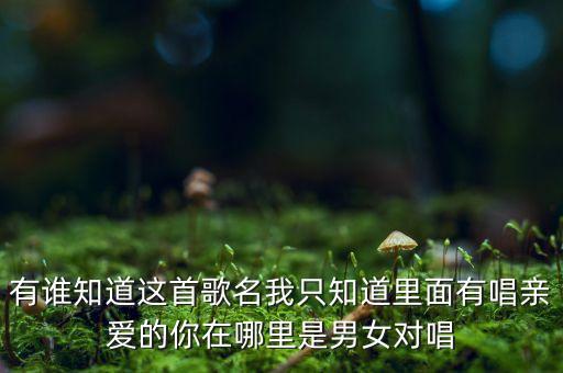 有谁知道这首歌名我只知道里面有唱亲爱的你在哪里是男女对唱