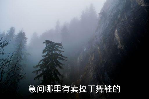急问哪里有卖拉丁舞鞋的