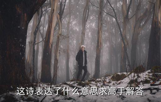 这诗表达了什么意思求高手解答