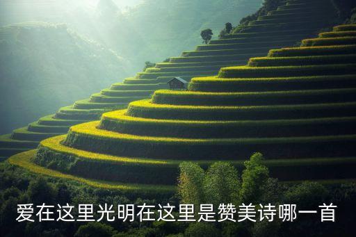 爱在这里光明在这里是赞美诗哪一首