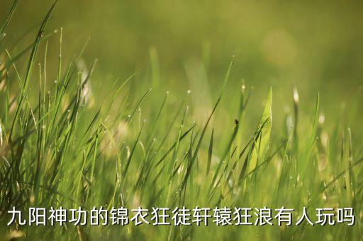 九阳神功的锦衣狂徒轩辕狂浪有人玩吗