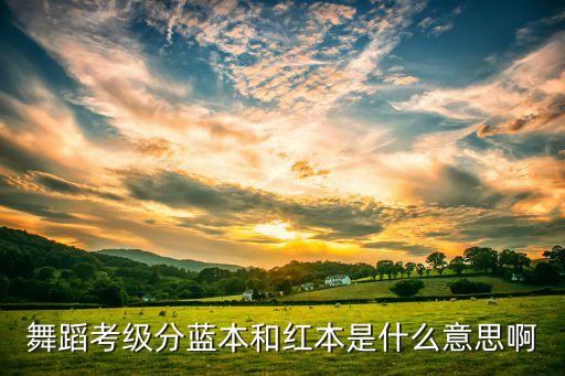 舞蹈考级分蓝本和红本是什么意思啊