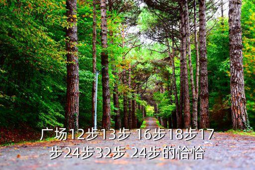 12步广场舞视频大全，广场12步13步 16步18步17步24步32步 24步的恰恰