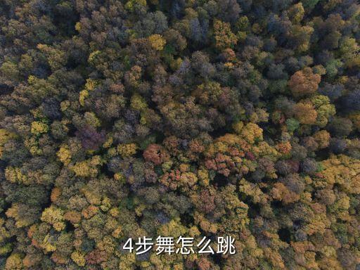 四步基本步怎么走，想学习广场舞 最基本的四字步 十字步都不会麻烦有知道的告诉一下