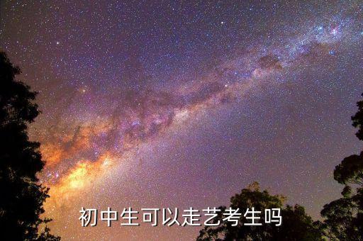 初中可以考艺术生吗，初中生可以走艺考生吗