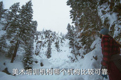 美术培训机构哪个机构比较可靠