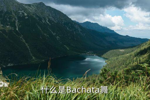 什么是Bachata舞
