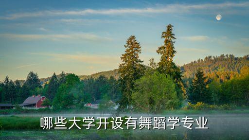 哪些大学开设有舞蹈学专业