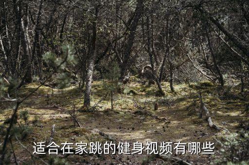 适合在家跳的健身视频有哪些