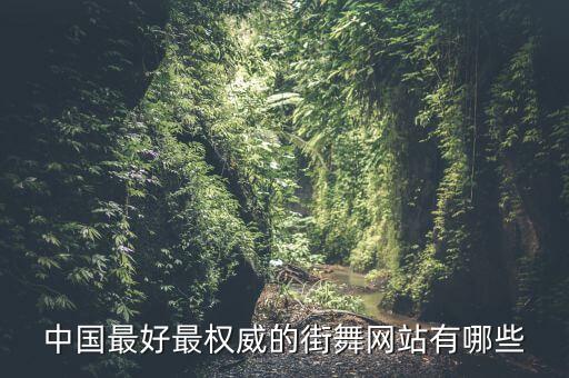 中国最好最权威的街舞网站有哪些