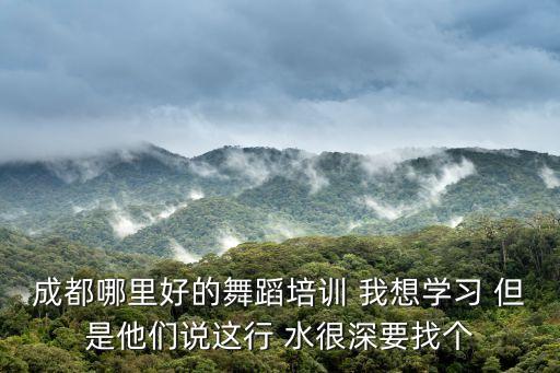 成都哪里好的舞蹈培训 我想学习 但是他们说这行 水很深要找个
