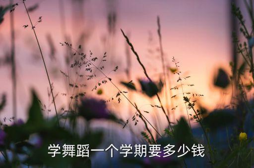学舞蹈一个学期要多少钱