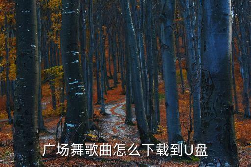 广场舞歌曲怎么下载到U盘