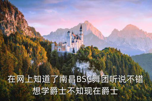 在网上知道了南昌BSC舞团听说不错想学爵士不知现在爵士