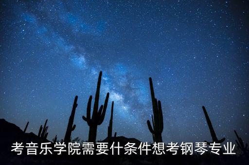 考音乐学院需要什条件想考钢琴专业