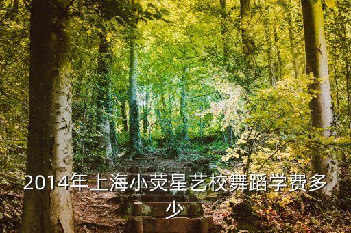 2014年上海小荧星艺校舞蹈学费多少
