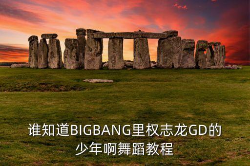 谁知道BIGBANG里权志龙GD的少年啊舞蹈教程