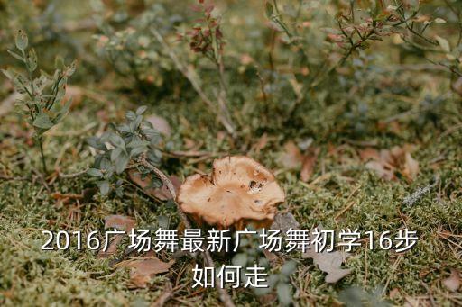 2016广场舞最新广场舞初学16步如何走
