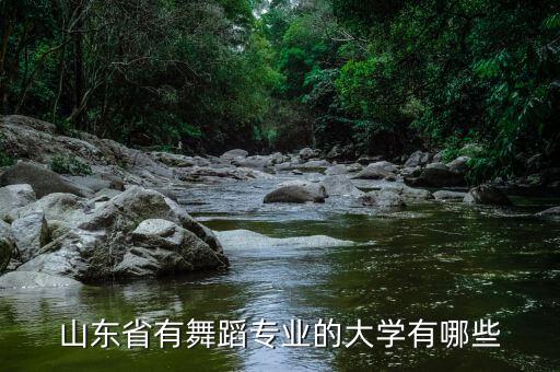 山东省有舞蹈专业的大学有哪些
