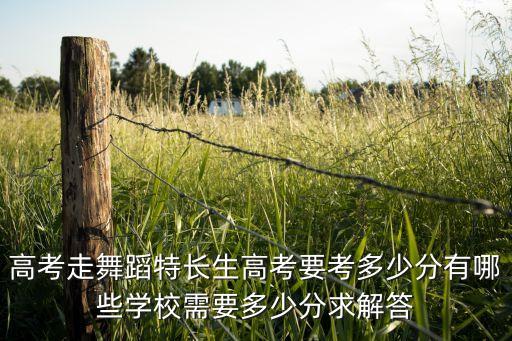 高考走舞蹈特长生高考要考多少分有哪些学校需要多少分求解答