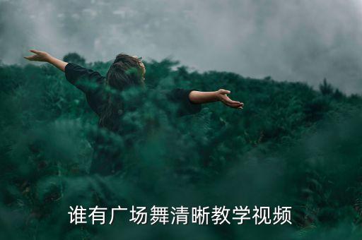 谁有广场舞清晰教学视频
