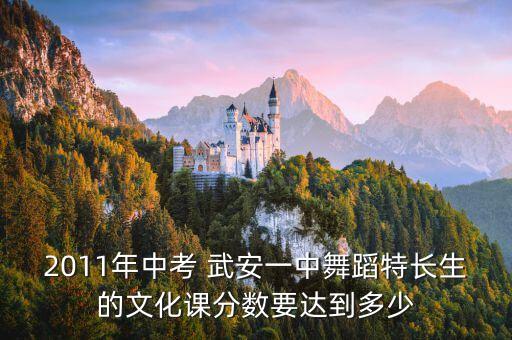 2011年中考 武安一中舞蹈特长生的文化课分数要达到多少