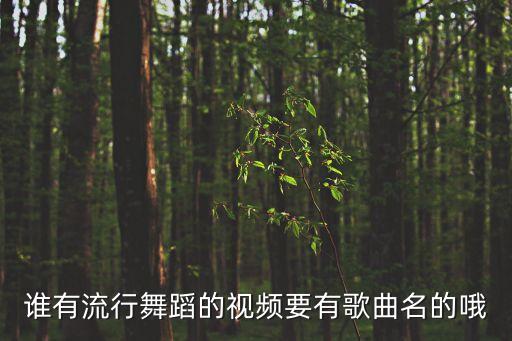 谁有流行舞蹈的视频要有歌曲名的哦