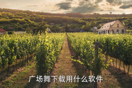 广场舞下载用什么软件