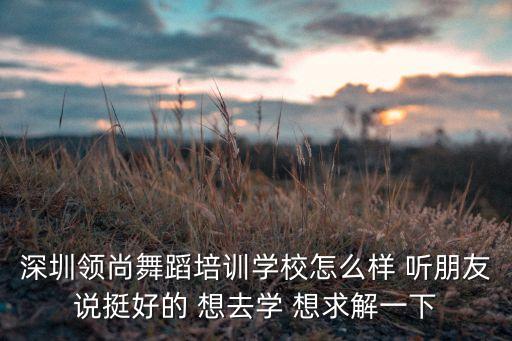 深圳领尚舞蹈培训学校怎么样 听朋友说挺好的 想去学 想求解一下