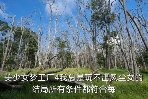 美少女梦工厂4我总是玩不出风尘女的结局所有条件都符合每
