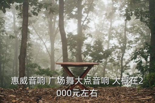 惠威音响 广场舞大点音响 大概在2000元左右