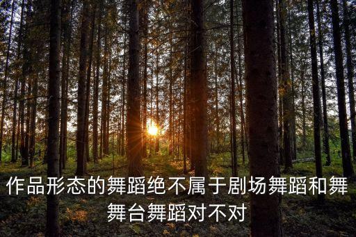 作品形态的舞蹈绝不属于剧场舞蹈和舞舞台舞蹈对不对