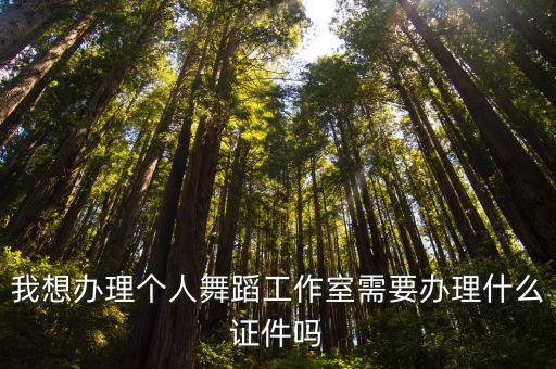 我想办理个人舞蹈工作室需要办理什么证件吗
