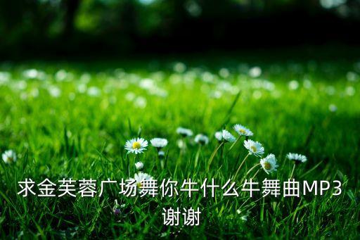 免费下载你牛什么牛，求金芙蓉广场舞你牛什么牛舞曲MP3 谢谢