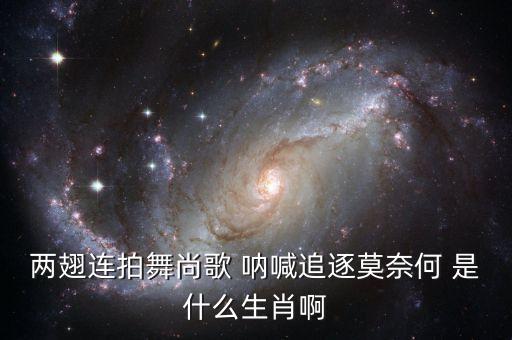 两个人舞是什么生肖，两翅连拍舞尚歌 呐喊追逐莫奈何 是什么生肖啊