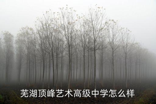 芜湖顶峰艺术高级中学怎么样