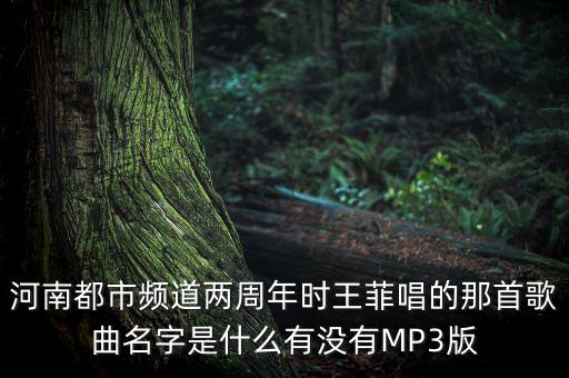 河南都市频道两周年时王菲唱的那首歌曲名字是什么有没有MP3版