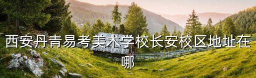 西安市丹青艺考美术学校，西安丹青易考美术学校招办地址在哪
