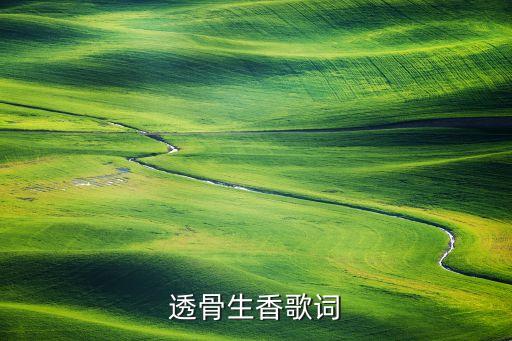 响扇舞的音乐叫什么，透骨生香歌词