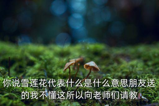 你说雪莲花代表什么是什么意思朋友送的我不懂这所以向老师们请教