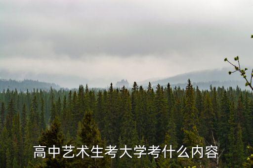 艺术生高考咨询，关于艺术类高考报考的一些问题了解的进来帮忙解答下谢谢