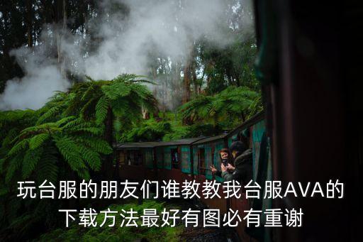 以闪亮之名台服下载方式，玩台服的朋友们谁教教我台服AVA的下载方法最好有图必有重谢