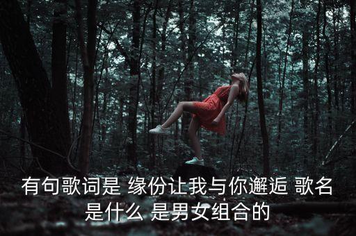 有句歌词是 缘份让我与你邂逅 歌名是什么 是男女组合的
